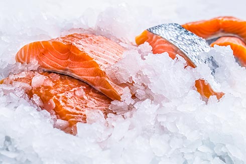 Lachsfilets auf Eis