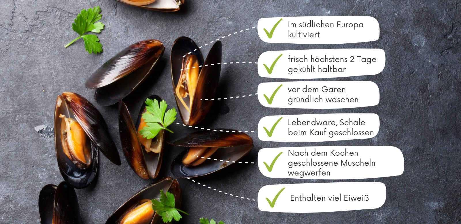 Miesmuscheln bei CHEFS CULINAR